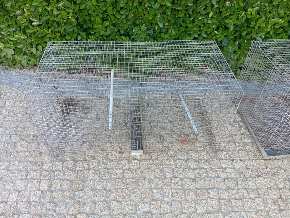 Gaiolas de criação caturras