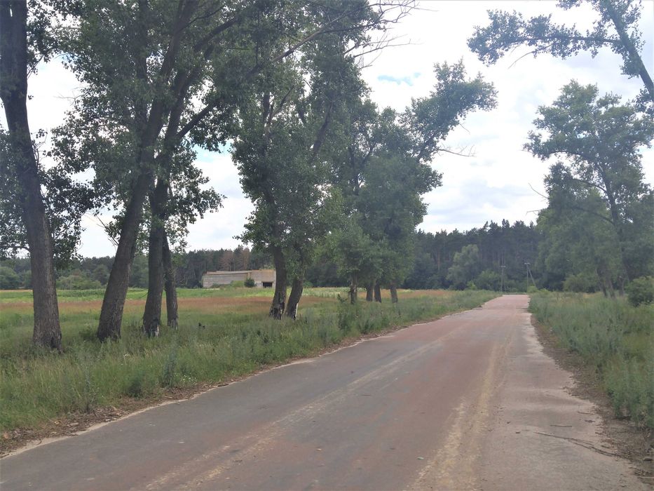 Продам участок 9 Га, бізнес, осг, нерухомість, с. Рудня