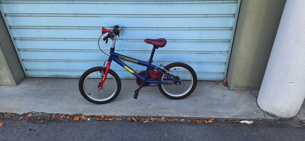 Bicicleta infantil