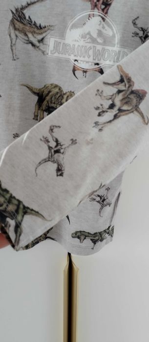 Piżama dla chłopca góra od piżamy dinozaury szara 110/116 H&M
