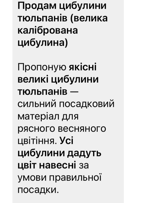 Цибулини на вигонку