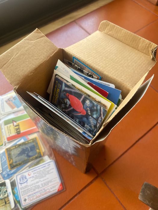 Conjunto de calendários de bolso