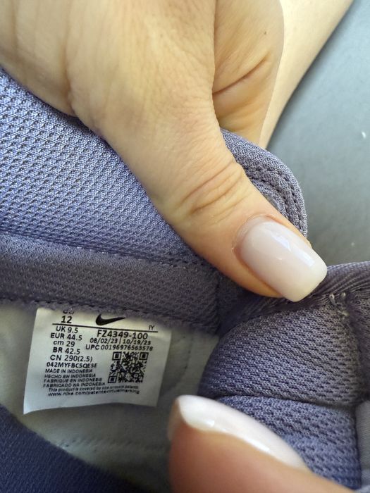 Кросівки чоловічі NIKE DUNK LOW VioletFZ4349-100