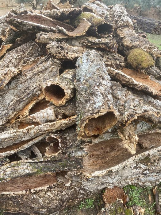 Cortiça pranchas , tubos , meios tubos para decoraçao e outros propos