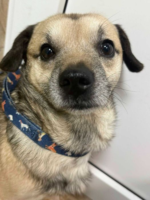 Zakochaj się w biednym Kminku z interwencji