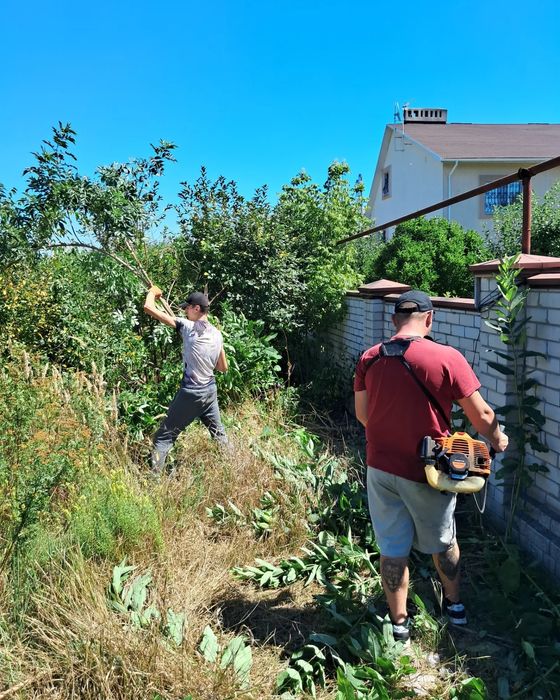 Спил деревьев. Спил деревьев.  Расчистка участков.