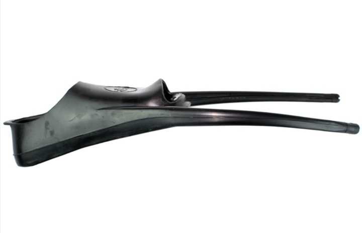 Pes picasso barbatanas