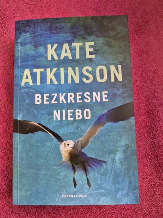 Bezkresne niebo. Kate Atkinson