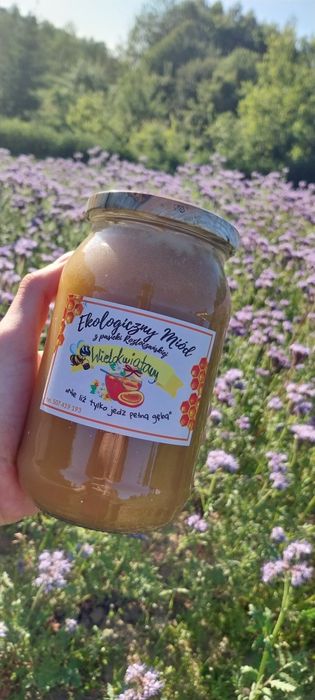 Staw Noakowski - miody z pasieki roztoczańskiej "u Tomka"