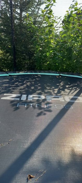 Trampolina Zippo Fitness