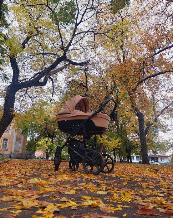 Коляска 2 в 1 Angelina