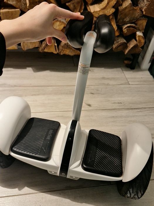 Гироскутер Ninebot Mini