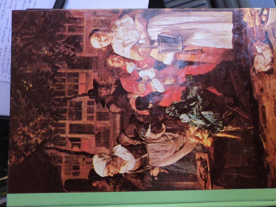 As plantas nossas amigas