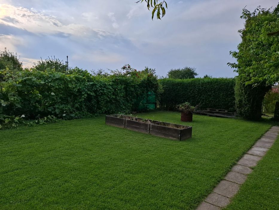 Działka rekreacyjna ROD. Kilińskiego - Widok 4