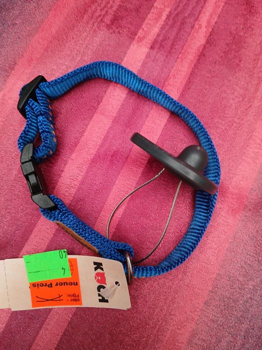Obroża Koch rozm,m S 25-35cm ×15mm