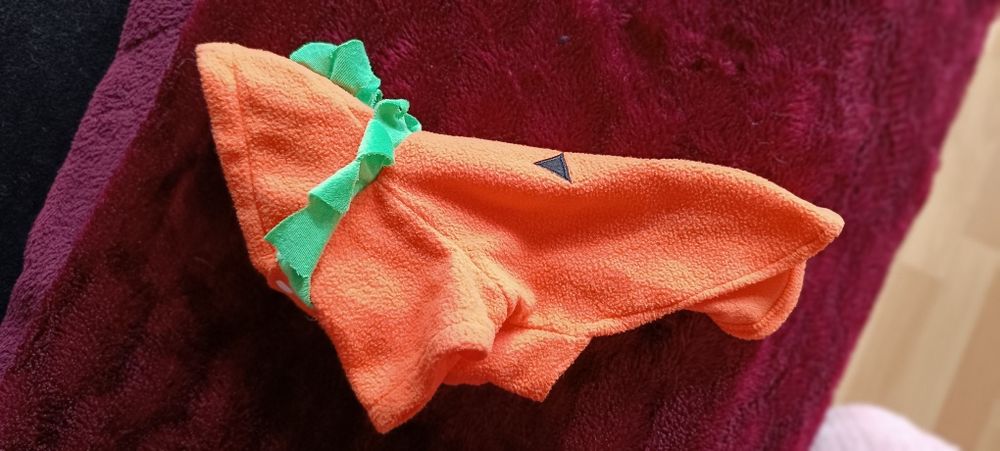 Camisola de cão tamanho M Halloween . Usado uma vez