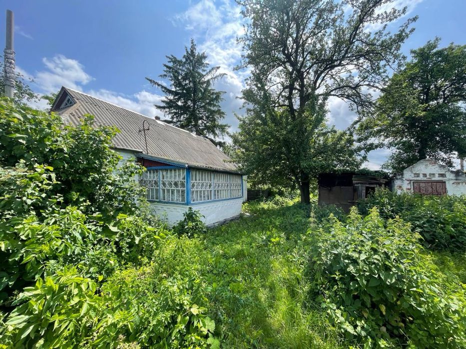 Будинок село Шапіївка