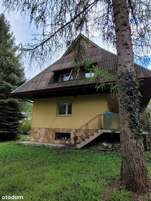 Kazimierz Dolny okolice | cena 690 tys.| duża działka z lasem