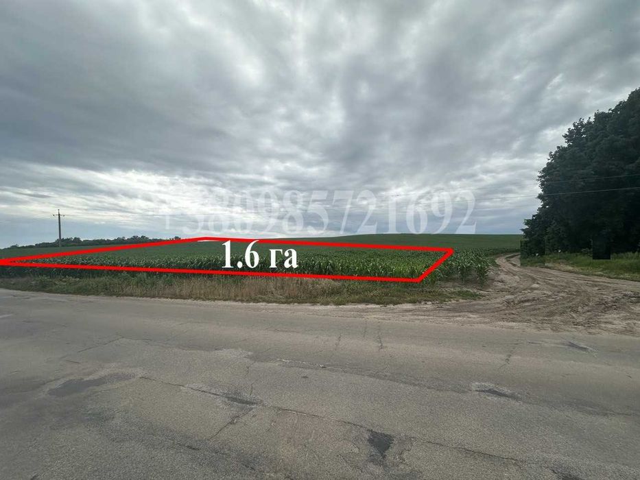 Продаж земельної ділянки 1,6 га, Фастівський район, Княжичі (Боярка)