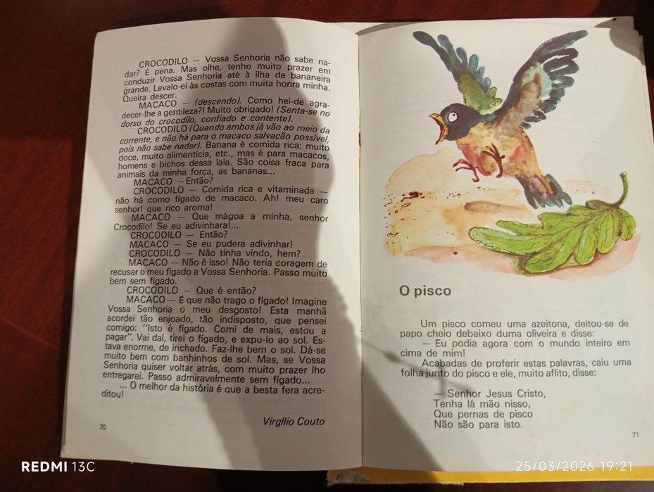 2 livros vintage 2 e 3 ano