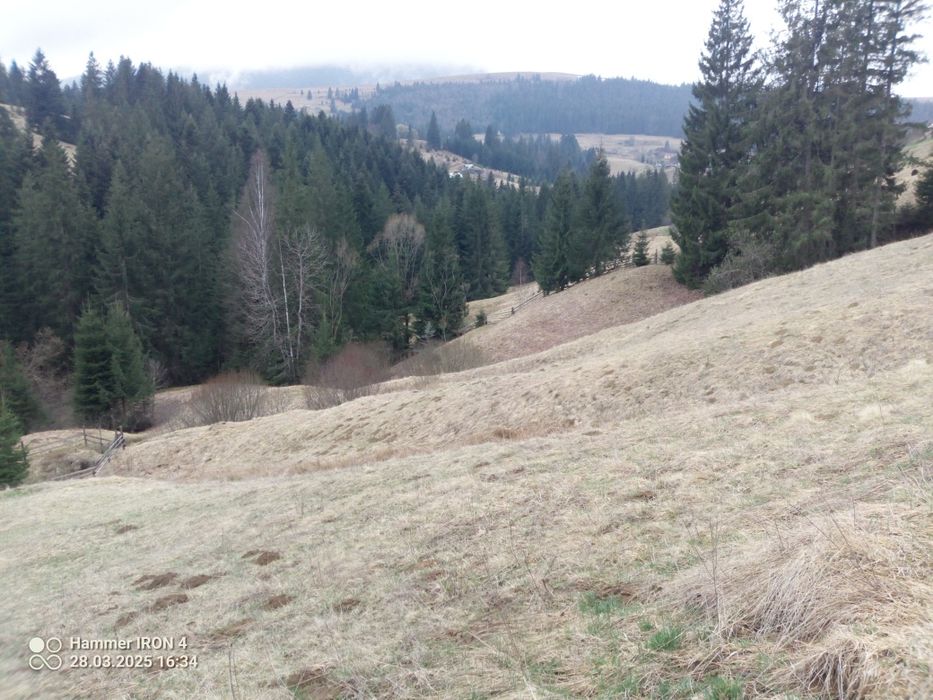 Земельна ділянка