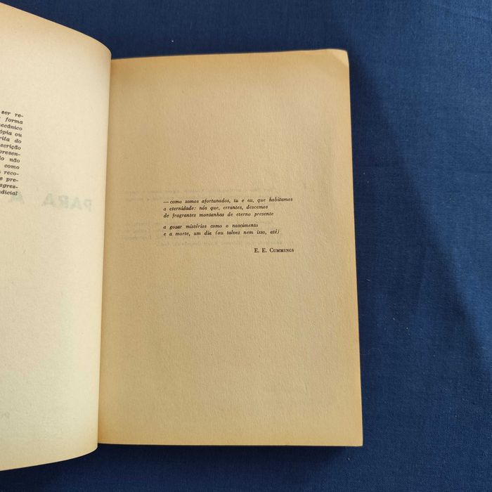 Richard Bach - A Ponte para a Eternidade