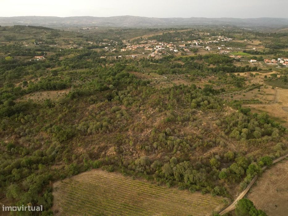 Terreno Rústico  Venda em Rio Torto e Lagarinhos,Gouveia