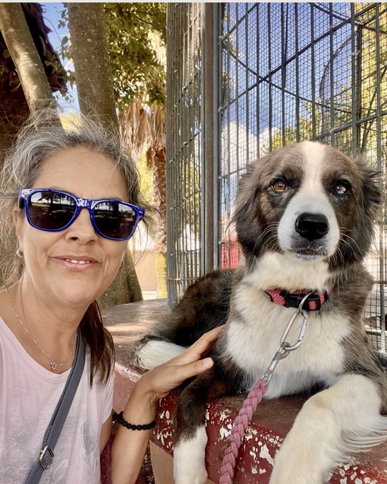 Dog Walking e Petsitting ao domicílio - Responsbilidade e Carinho