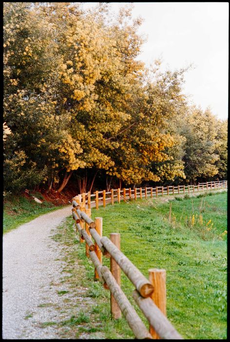 Câmara Fotográfica Analógica - Nikon F65 + OBJ. Nikon 50mm F1.8