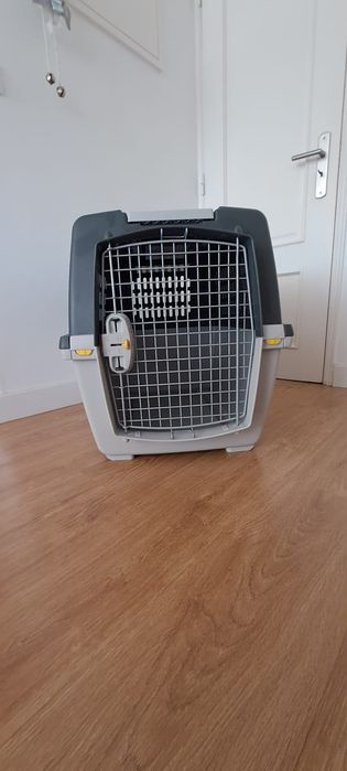 Acessórios para cães