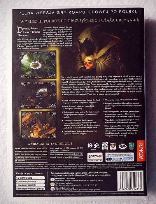 Dungeons & Dragons Świątynia Pierwotnego Zła PL Dubbing PC