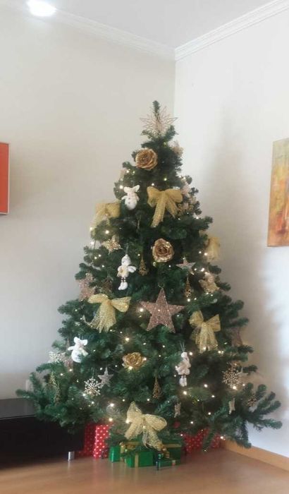 Árvore de** Natal **