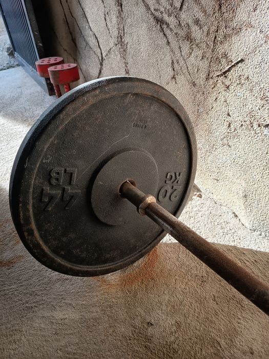 Anilhas, halteres, barras e banco de ginásio.