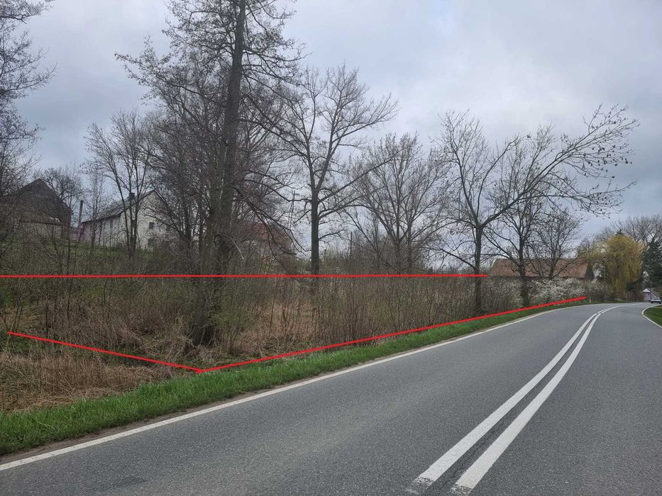 Działka siedliskowa 4200 m² we wsi Niedźwiednik 57-224 koło Ziębic [3 działki] - Widok 2