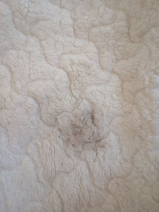 Sobrecolchão Casal Reversível Lã Merino Woolmark & Aloe Vera (Pouco Usado)