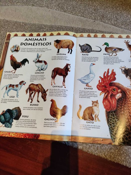 Livro grande infantil animais