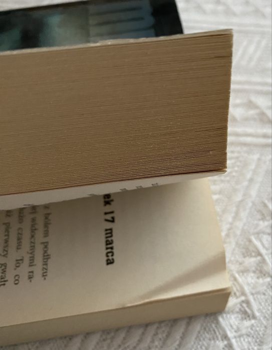 Millenium tom I, Mężczyźni którzy nienawidzą kobiet, S. Larsson