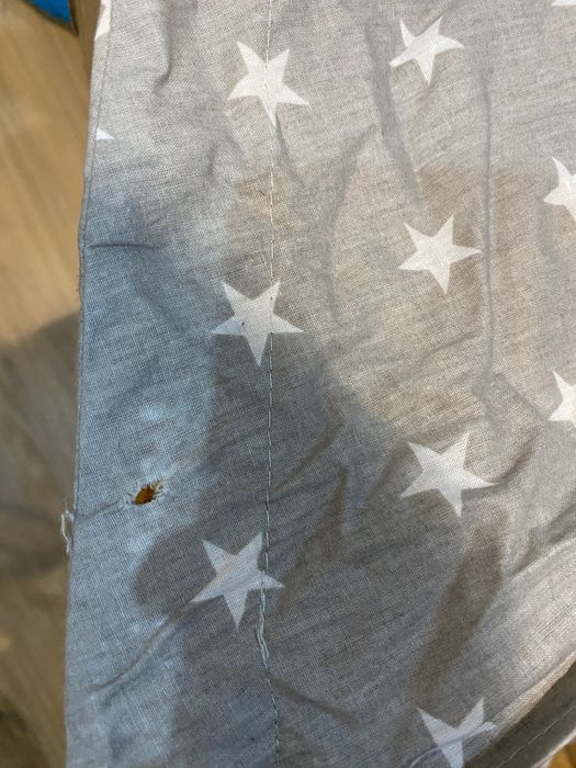 Namiot dla dzieci do zabawy