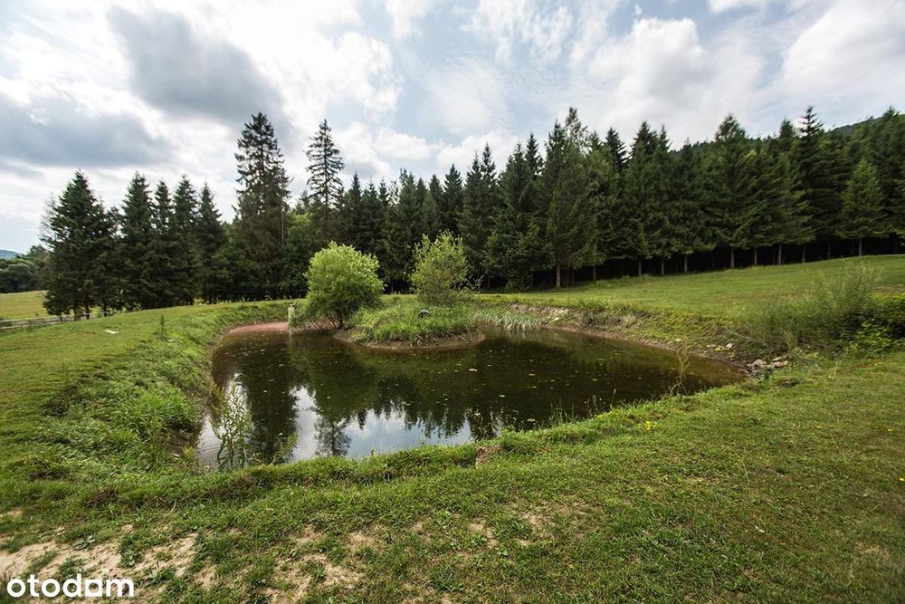 Posiadłość w Bieszczadch / 6 ha/ Dom, stajnia, stawy/ 4 305 000