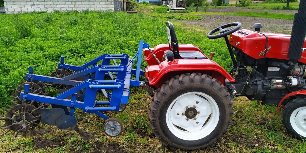 Ёжики. Ежи.Їжаки