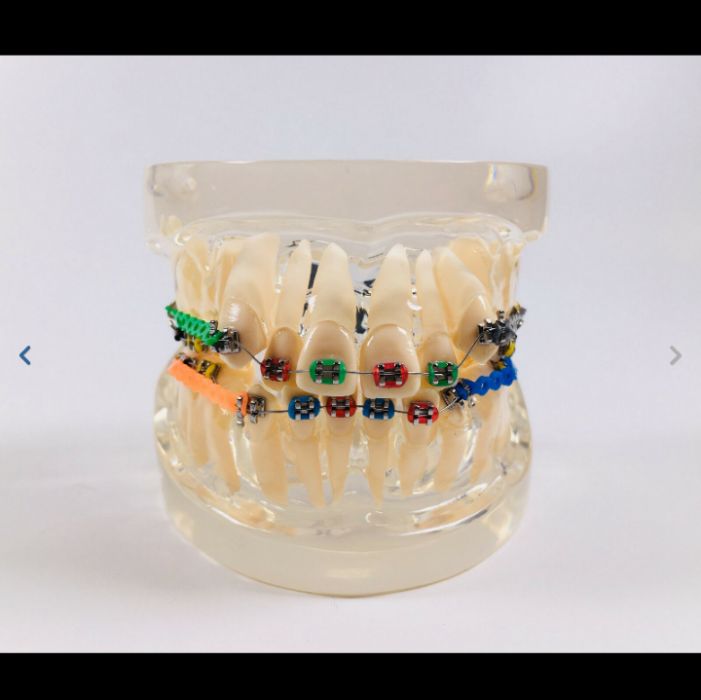 Frasaco estudo Medicina Dentária e outros - novos