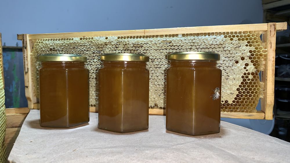 Продам гречишный мёд разнотравье с лесной пасеки, соты медовые мед