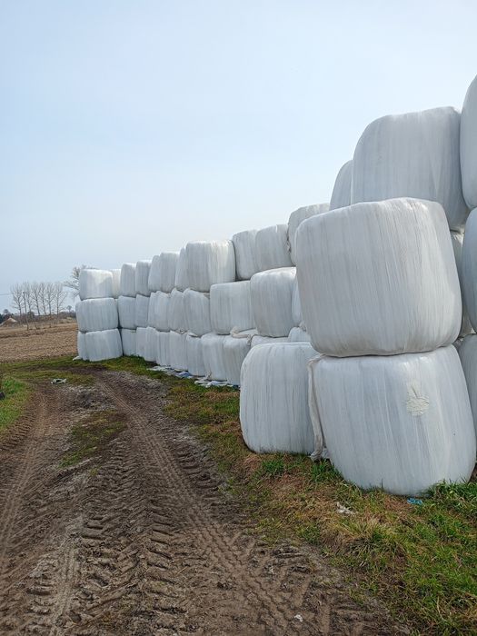 Sianokiszonka pierwszy pokos