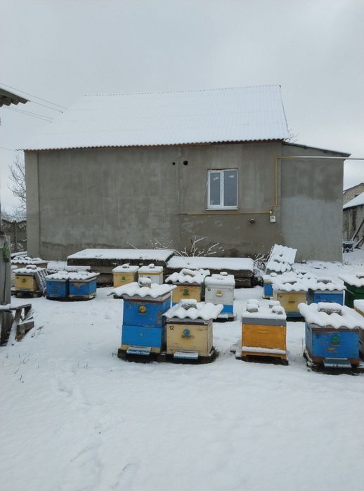 Продажа пчел, инвентарь