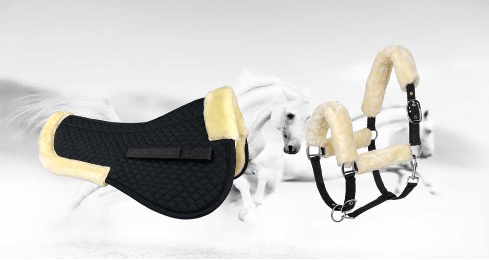 Zestaw dla konia kantar START futerko+podkładka York Comfort PONY