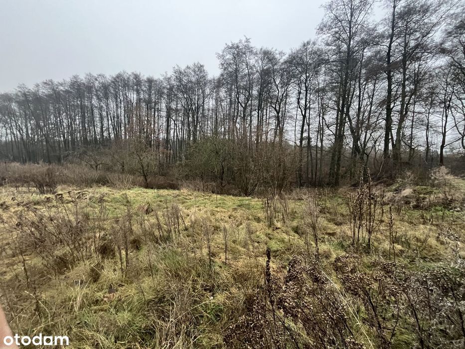 Wyjątkowa działka budowlana – Goleniów, ul. Bankowa z WZ!