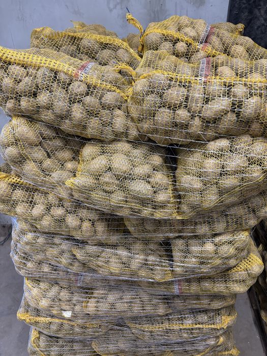 Werbana ziemniaki żółte 5+