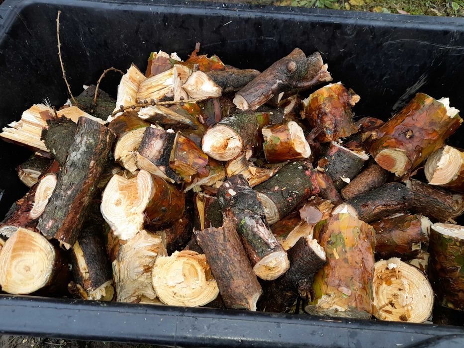 Rozdrabniacz R2-200 W102 do11cm średnicy walcowy rembak rebak rębak