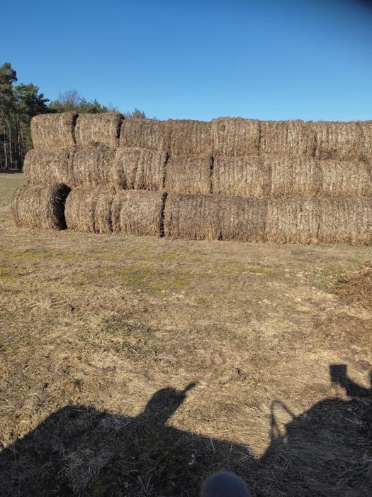 Sprzedam belki słomy