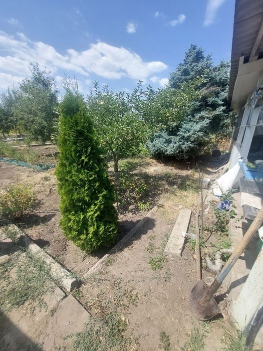 Будинок в Солов'їній рощі